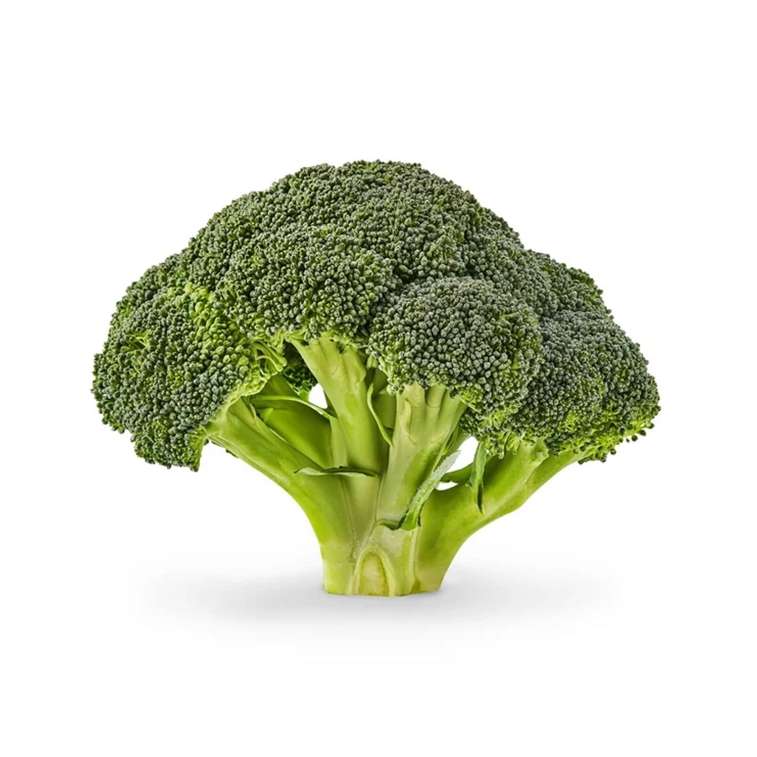 Fresh Broccoli - 1 lb Fresh Broccoli - 1 lb