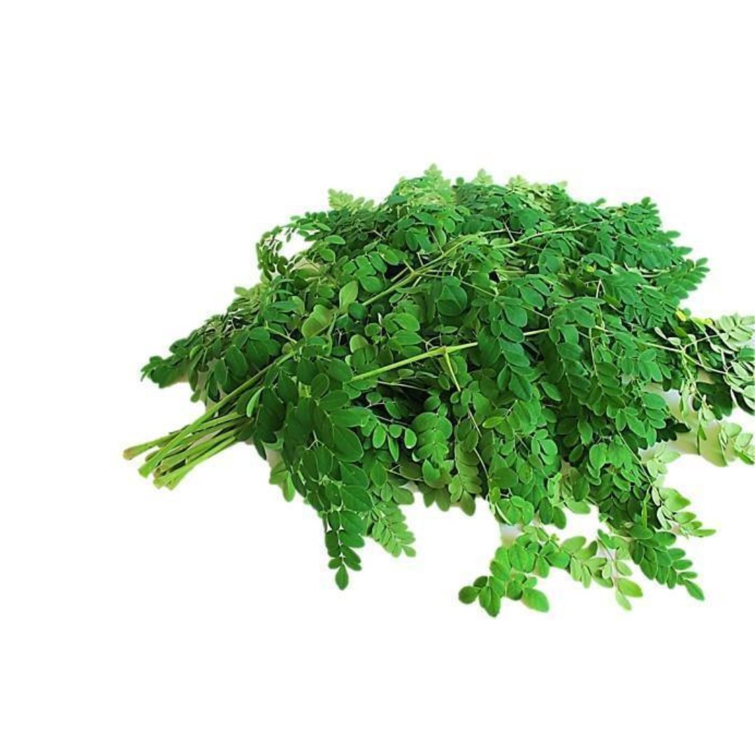 Fresh Drumstick Leaves - 1 lb Fresh Drumstick Leaves - 1 lb