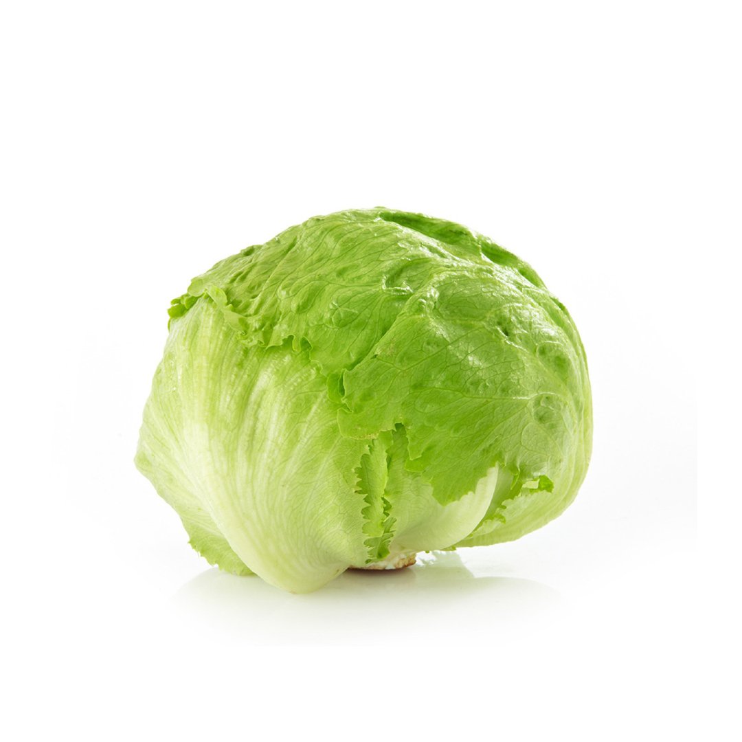 Fresh Lettuce - Each Fresh Lettuce - Each