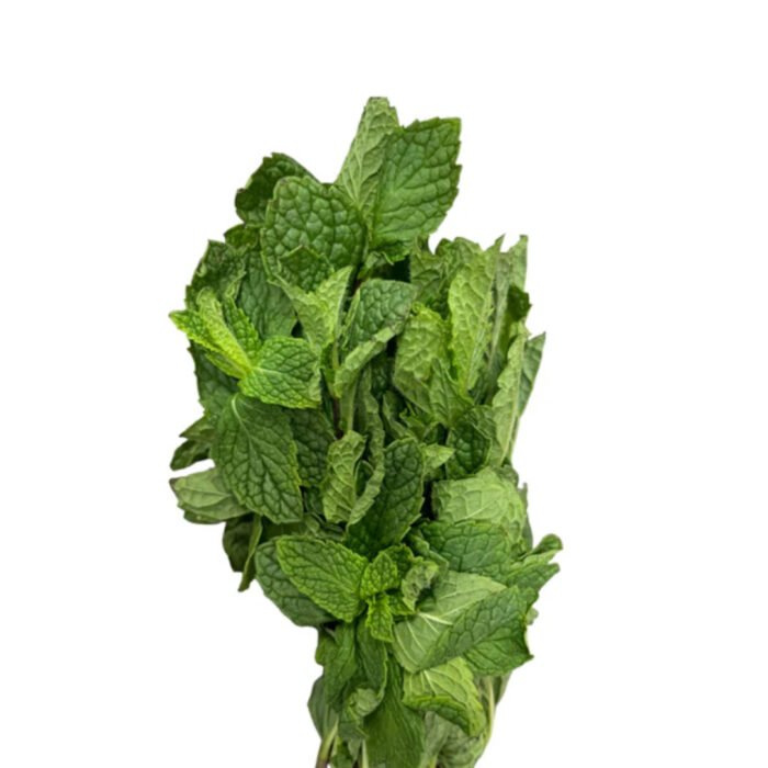 Fresh Mint - Bunch
