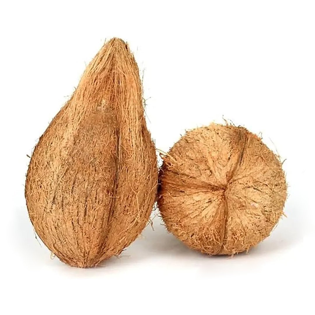 Pooja Coconut - Each Pooja Coconut - Each
